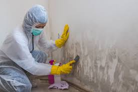 Best Residential Mold Inspection & Testing in Westminster, CA